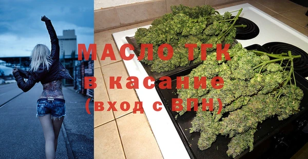 дмт Гусев