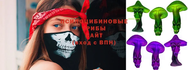 дмт Гусев