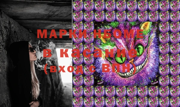 дмт Дмитровск