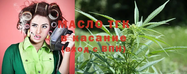 дмт Гусев