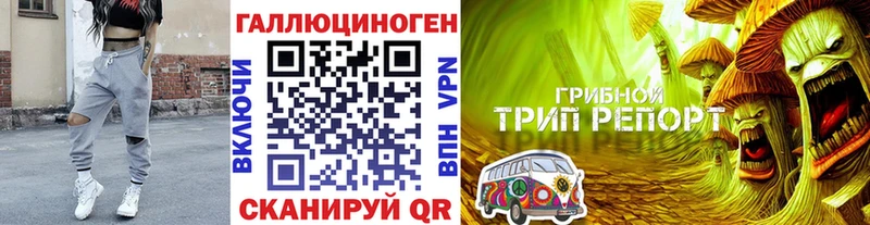 кракен как войти  Иланский  Псилоцибиновые грибы Cubensis  продажа наркотиков 
